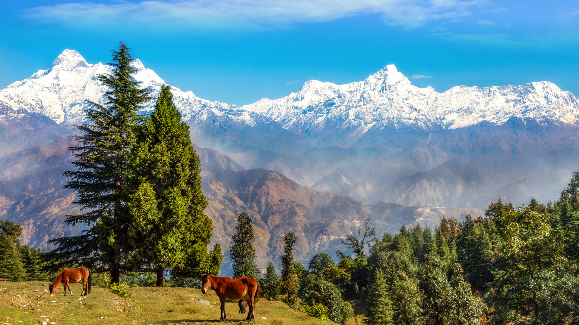 Explore Uttarakhand